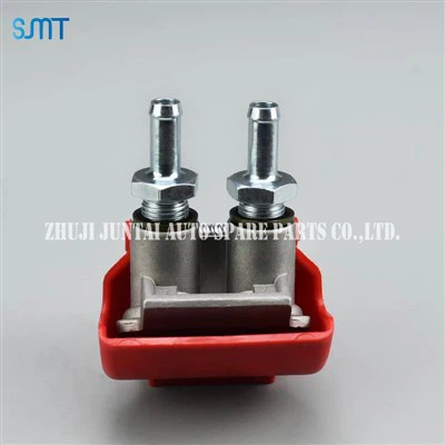 Duomatische Kopplung